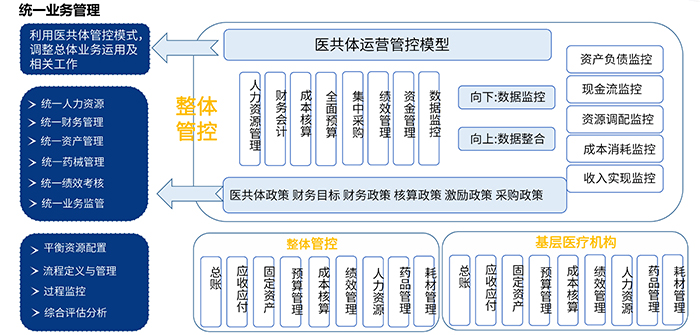 医共体系统